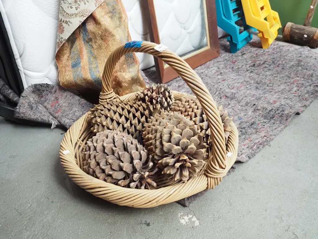 cane basket and pine cones Image 1++