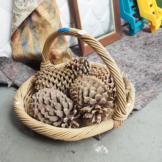 cane basket and pine cones
