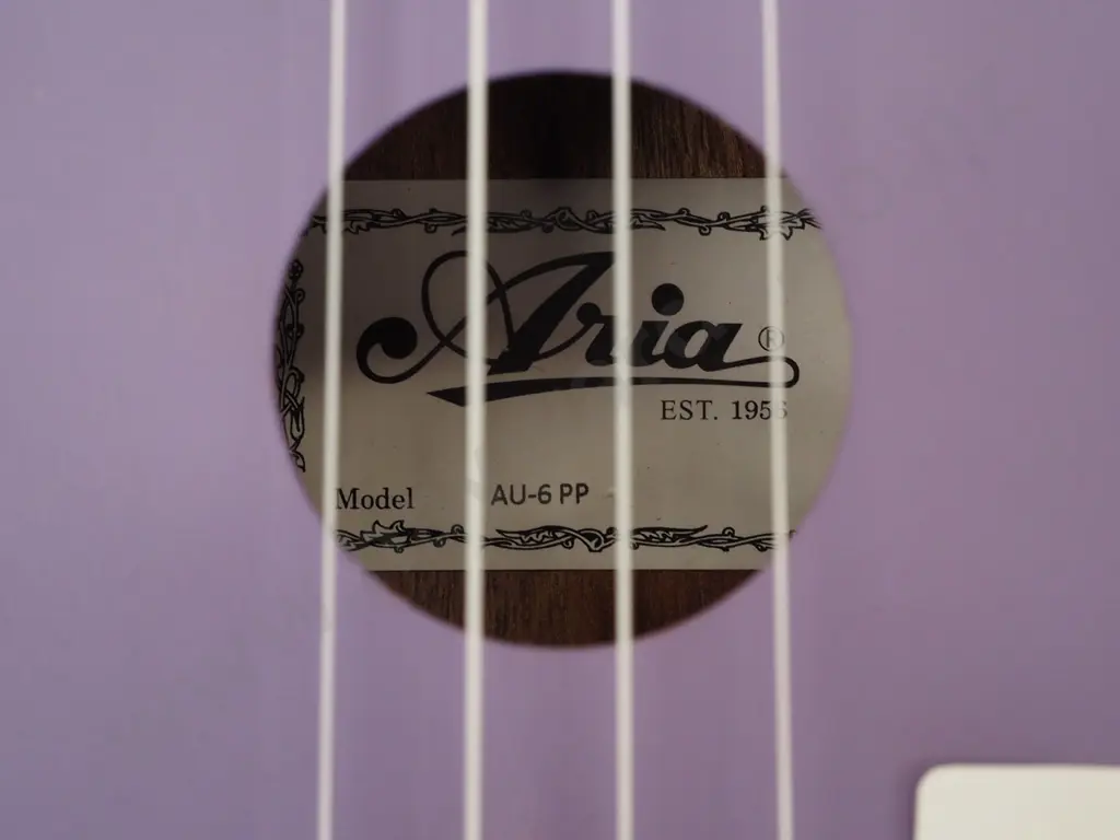Aria ukelele and case Image 1++