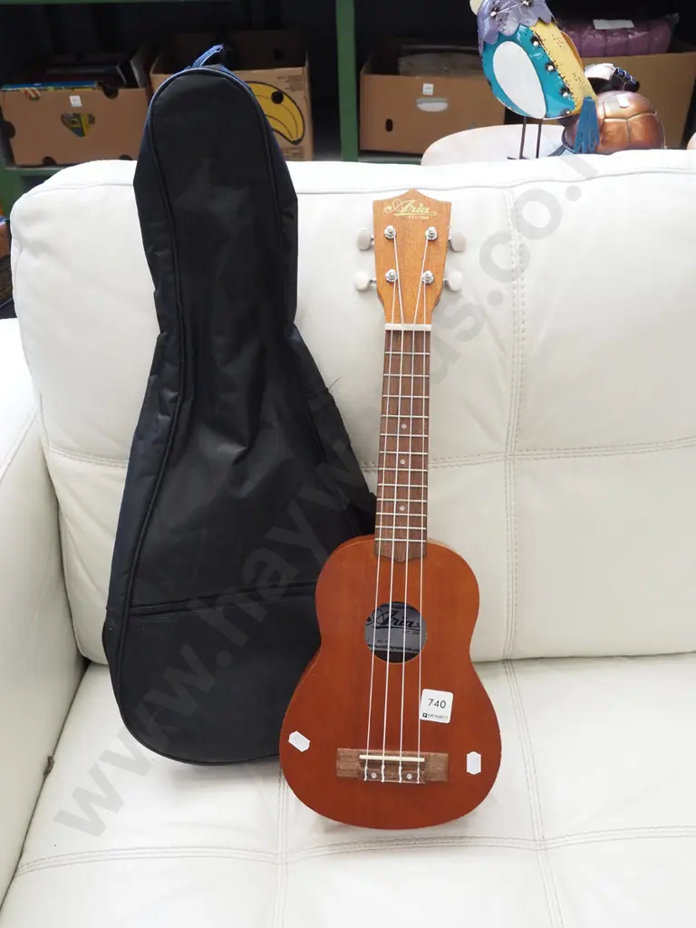 Aria ukelele and case Image 1++