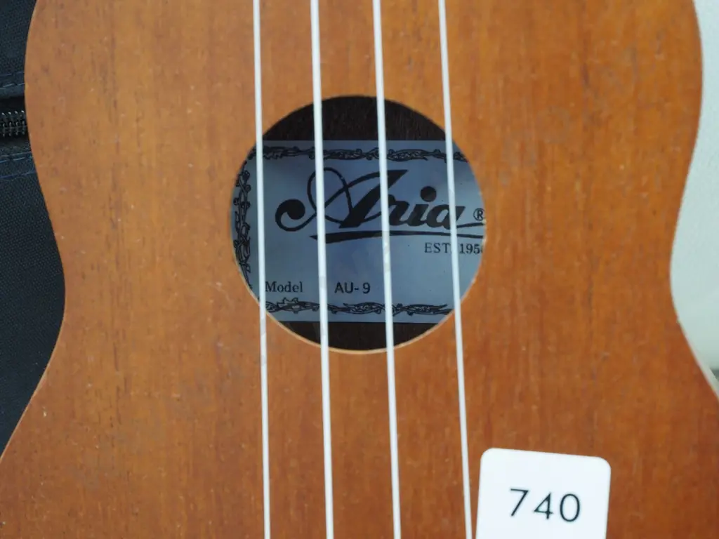 Aria ukelele and case Image 1++