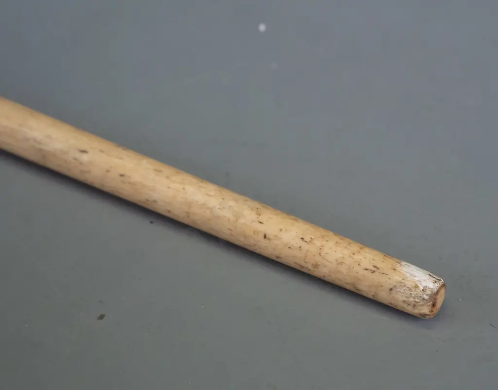 walking stick made from unknown bone or composite with carved bone handle, discs of hardwood and bone - missing ferrule, Image 1++