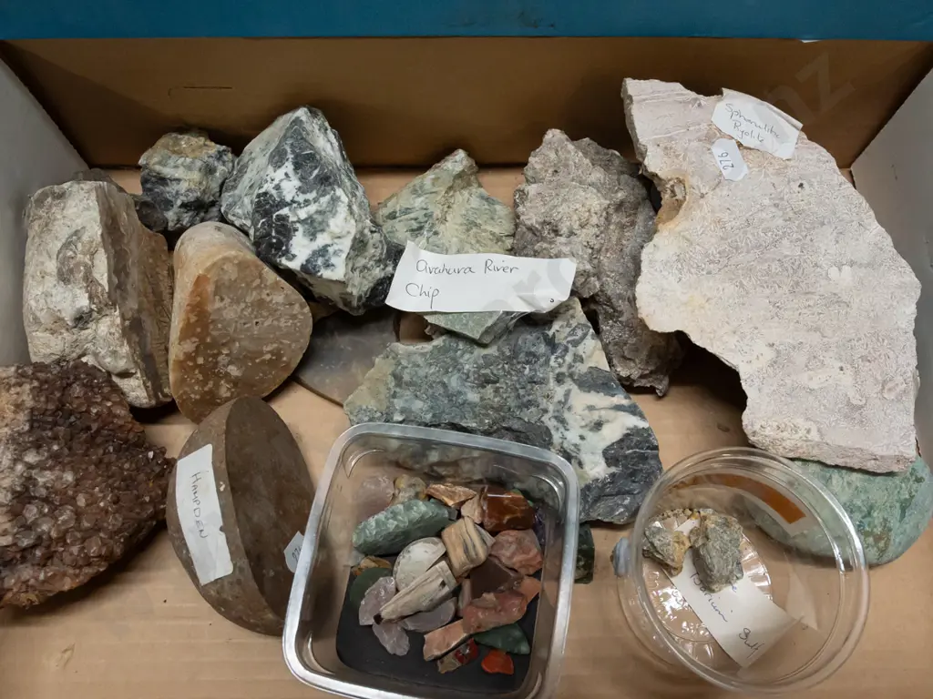 large collection of rock & mineral samples. Some labeled with NZ locations. Image 1++