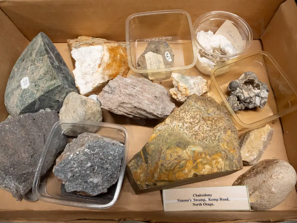 large collection of rock & mineral samples. Some labeled with NZ locations. Image 1++