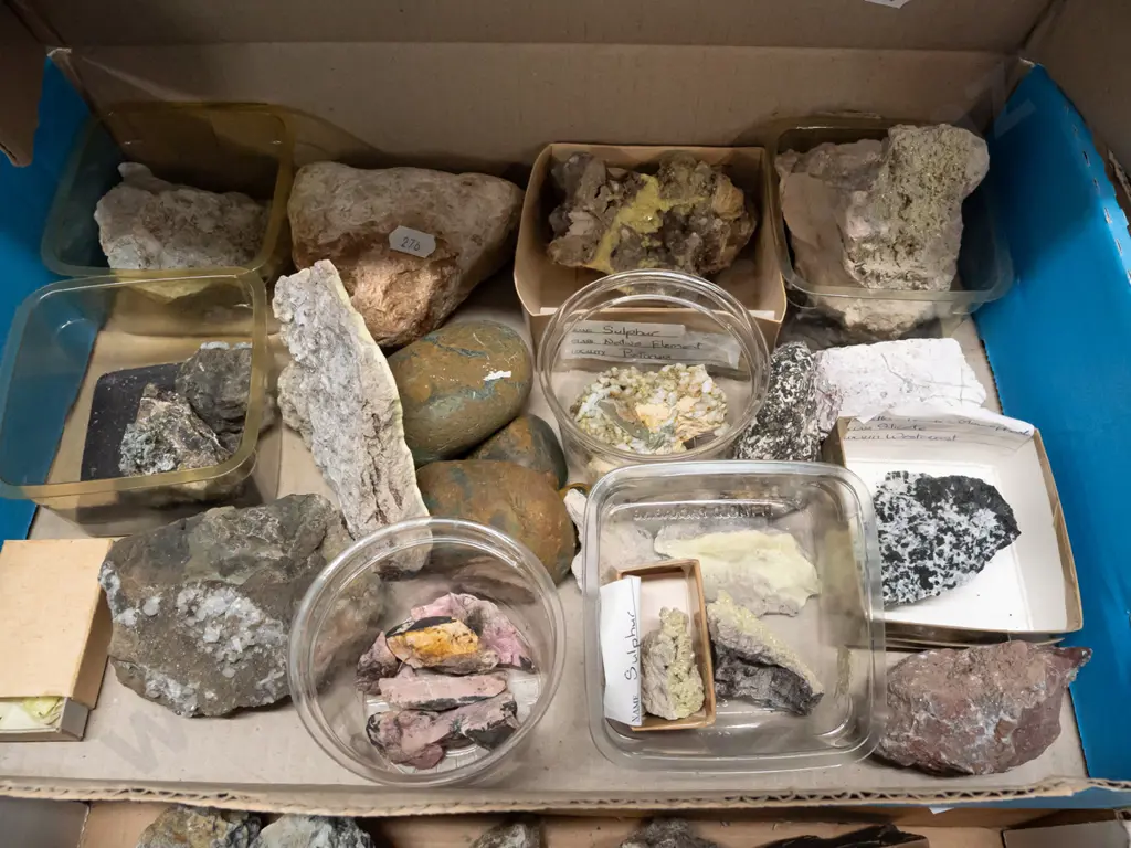 large collection of rock & mineral samples. Some labeled with NZ locations. Image 1++