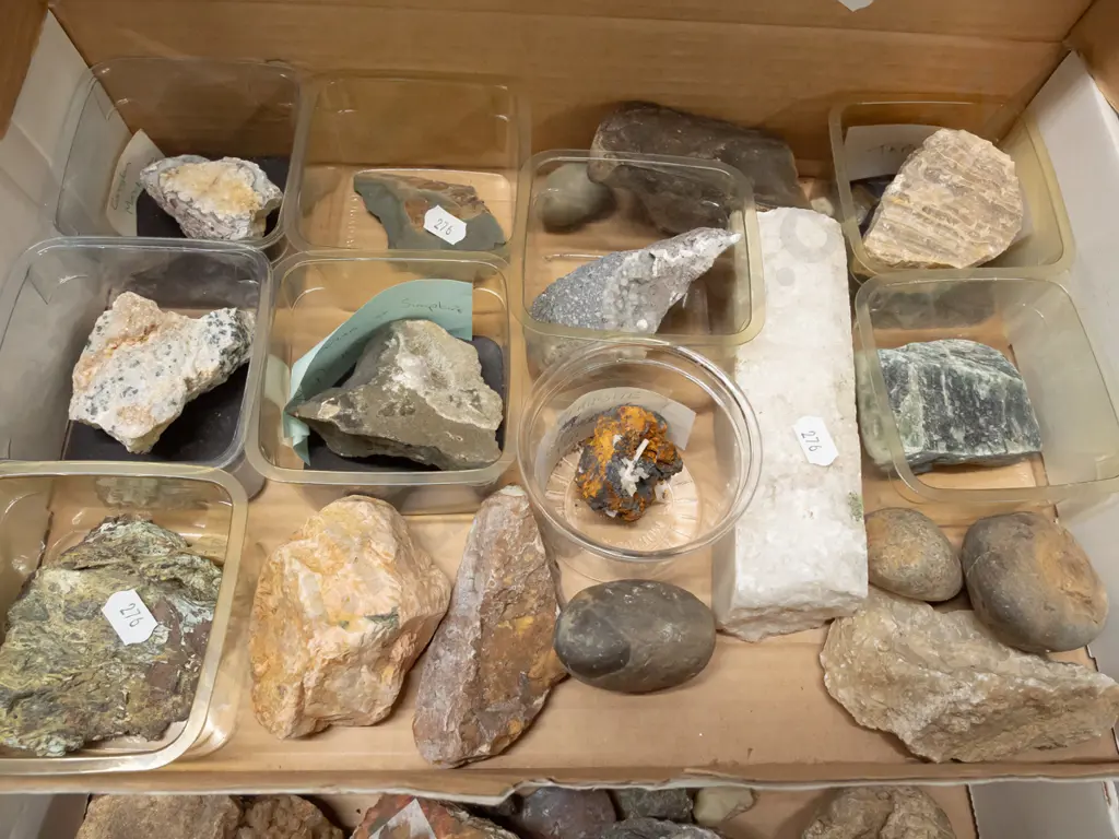 large collection of rock & mineral samples. Some labeled with NZ locations. Image 1++