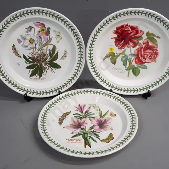 Portmeirion Botanic Garden items - 3 large plates D-270