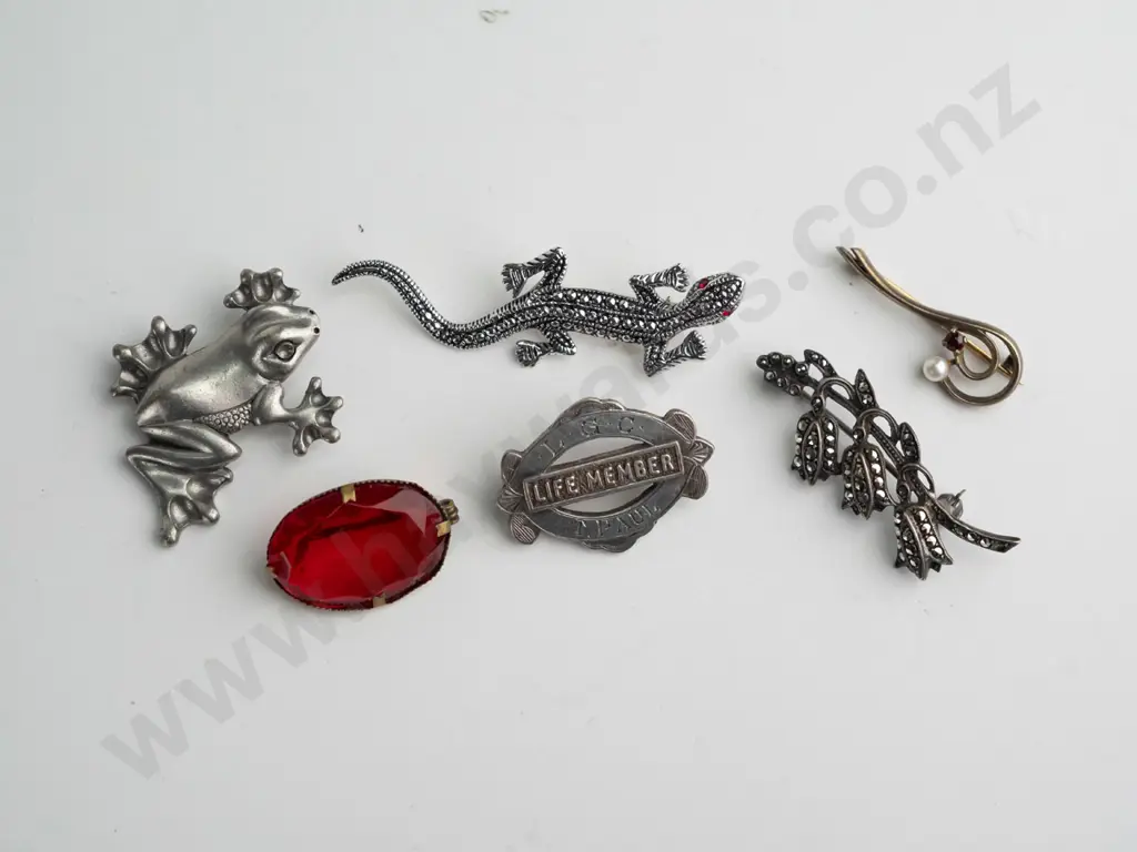 6x brooches Image 1++