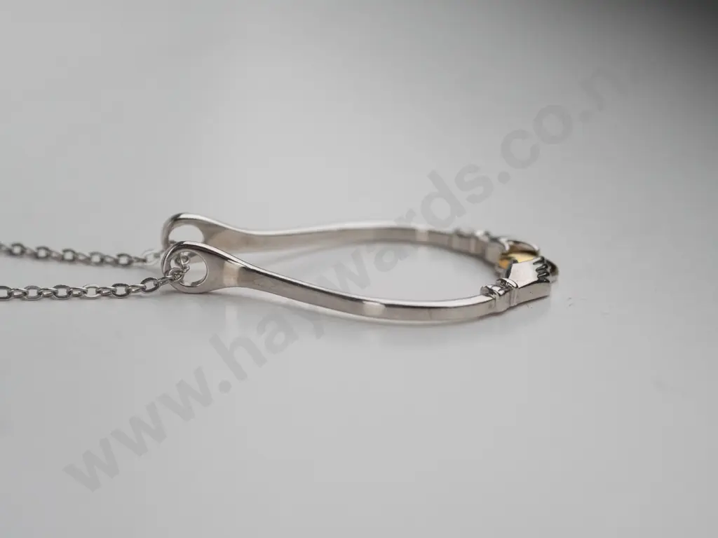 sterling silver pendant and chain Image 1++