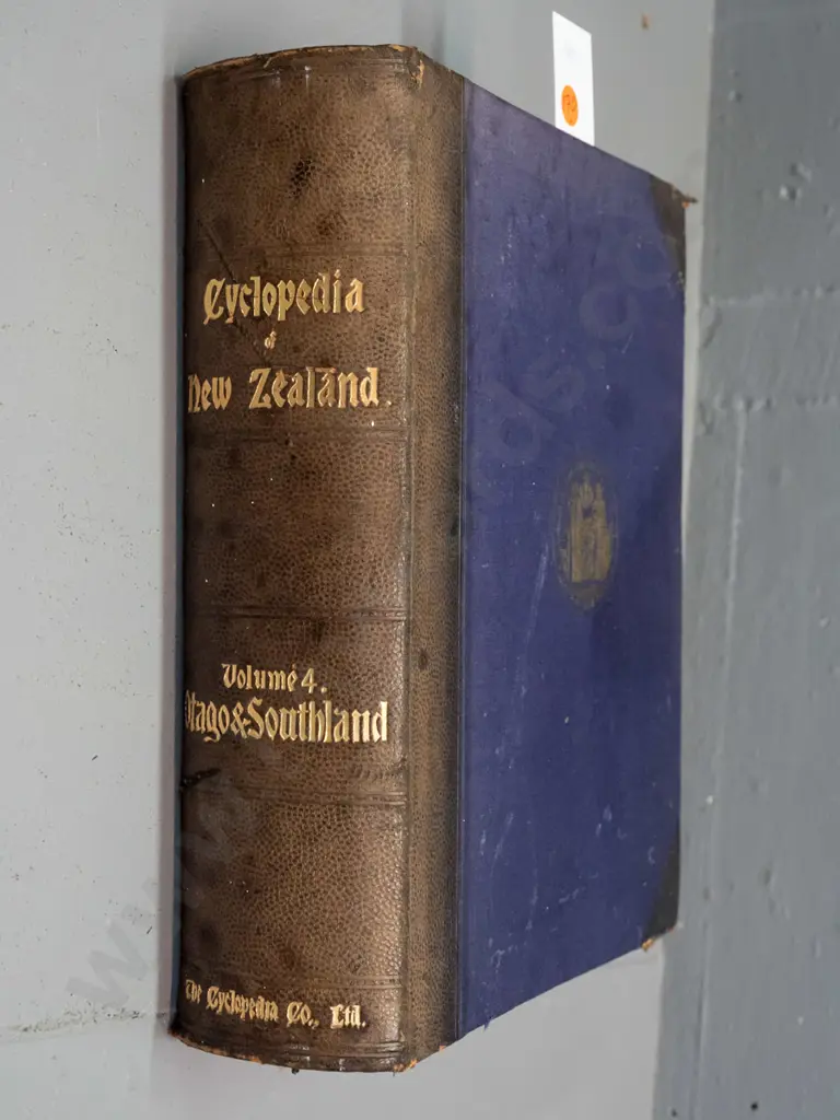 vintage book - Cyclopedia of New Zealand, Volume 4 - Otago and Southland, pub. 1905 - a little age wear, fading etc. Image 1++