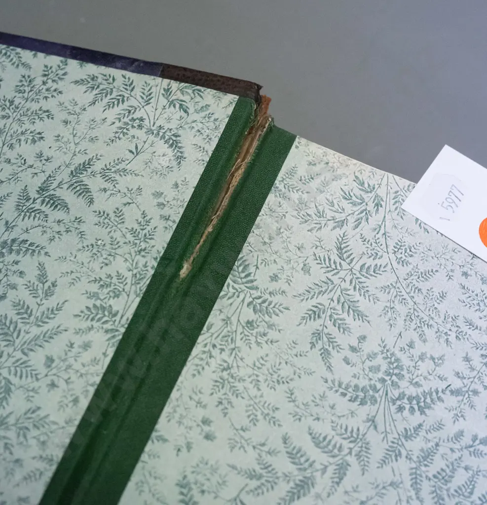 vintage book - Cyclopedia of New Zealand, Volume 4 - Otago and Southland, pub. 1905 - a little age wear, fading etc. Image 1++