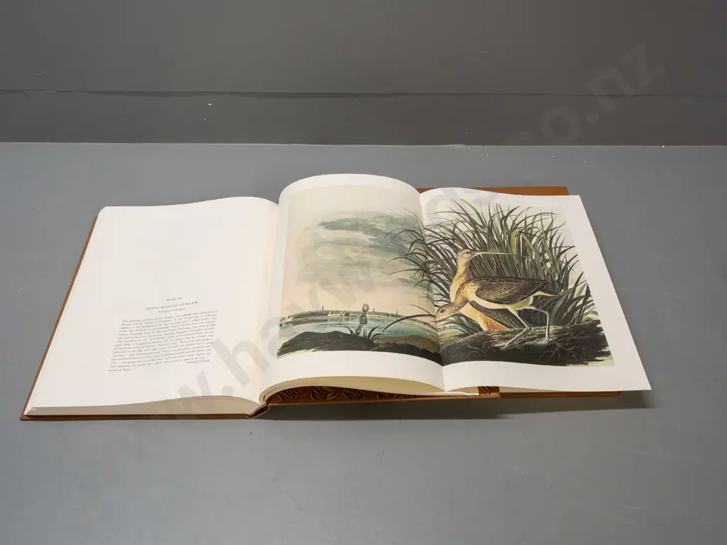 "The Original Watercolor Paintings by John James Audubon for The Birds of America" 2 volume slip-cased set - 1966 Image 1++