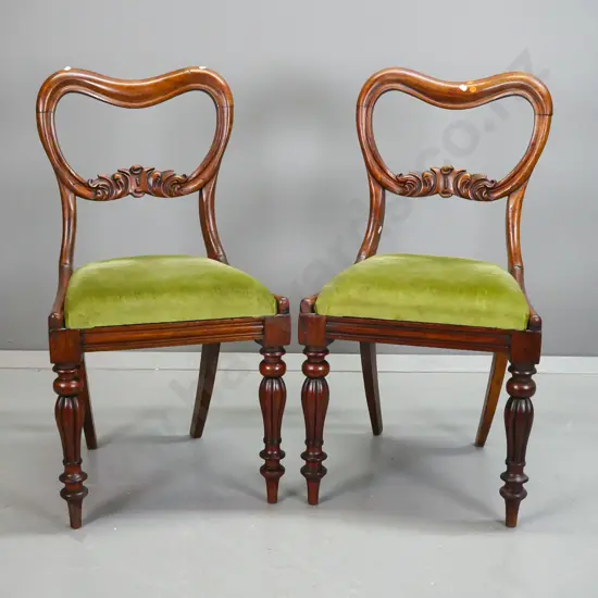 pair of William IV style chairs with shaped backs w/ foliate carved rail, turned and fluted front legs, pop out seats,