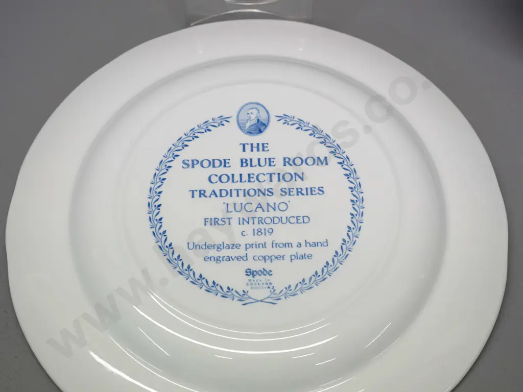 pair of Spode Blue Room Collection "Lucano" pattern cabinet plates D-270 Image 1++