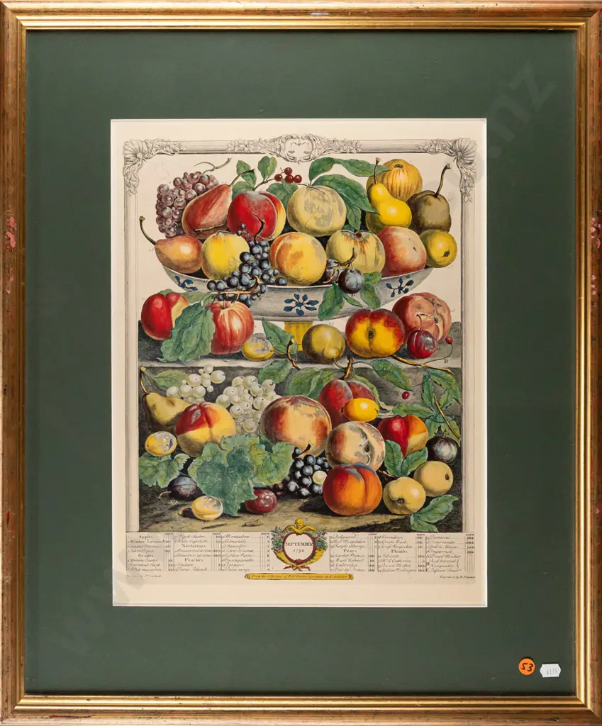 framed reproduction botanical fruit print - H420 W320 Image 1++