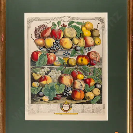 framed reproduction botanical fruit print - H420 W320