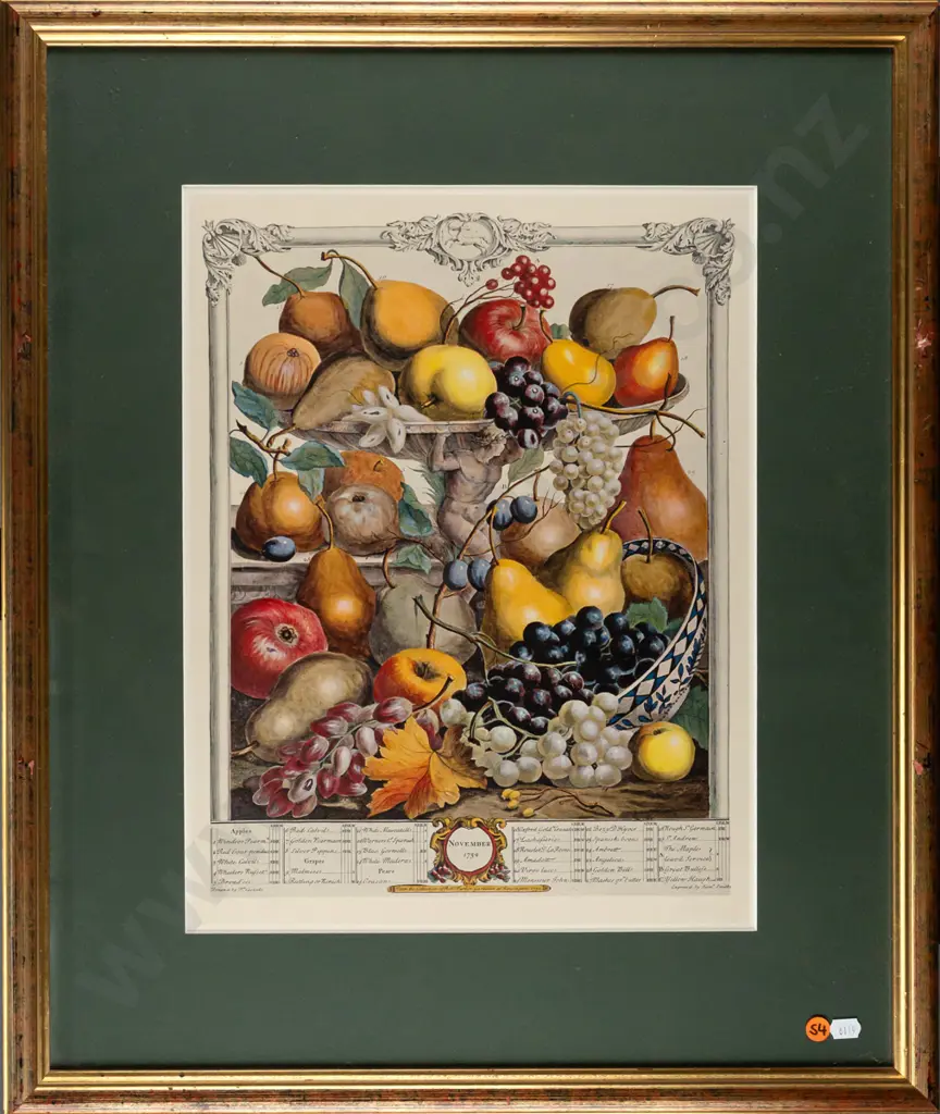 framed reproduction botanical fruit print - H420 W320 Image 1++
