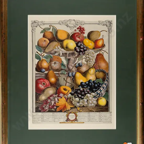 framed reproduction botanical fruit print - H420 W320