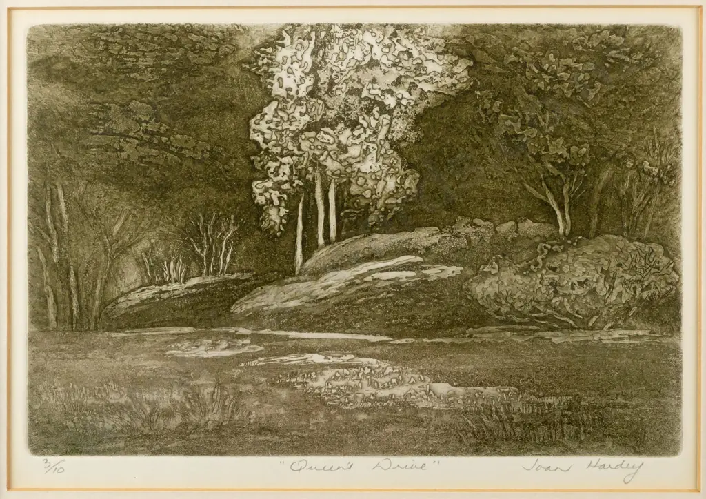 Joan Hardey - framed etching 3/10 'Queens Drive" H180 W260 Image 1++