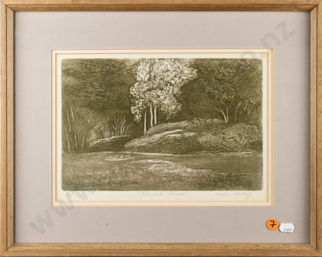 Joan Hardey - framed etching 3/10 'Queens Drive" H180 W260 Image 1++