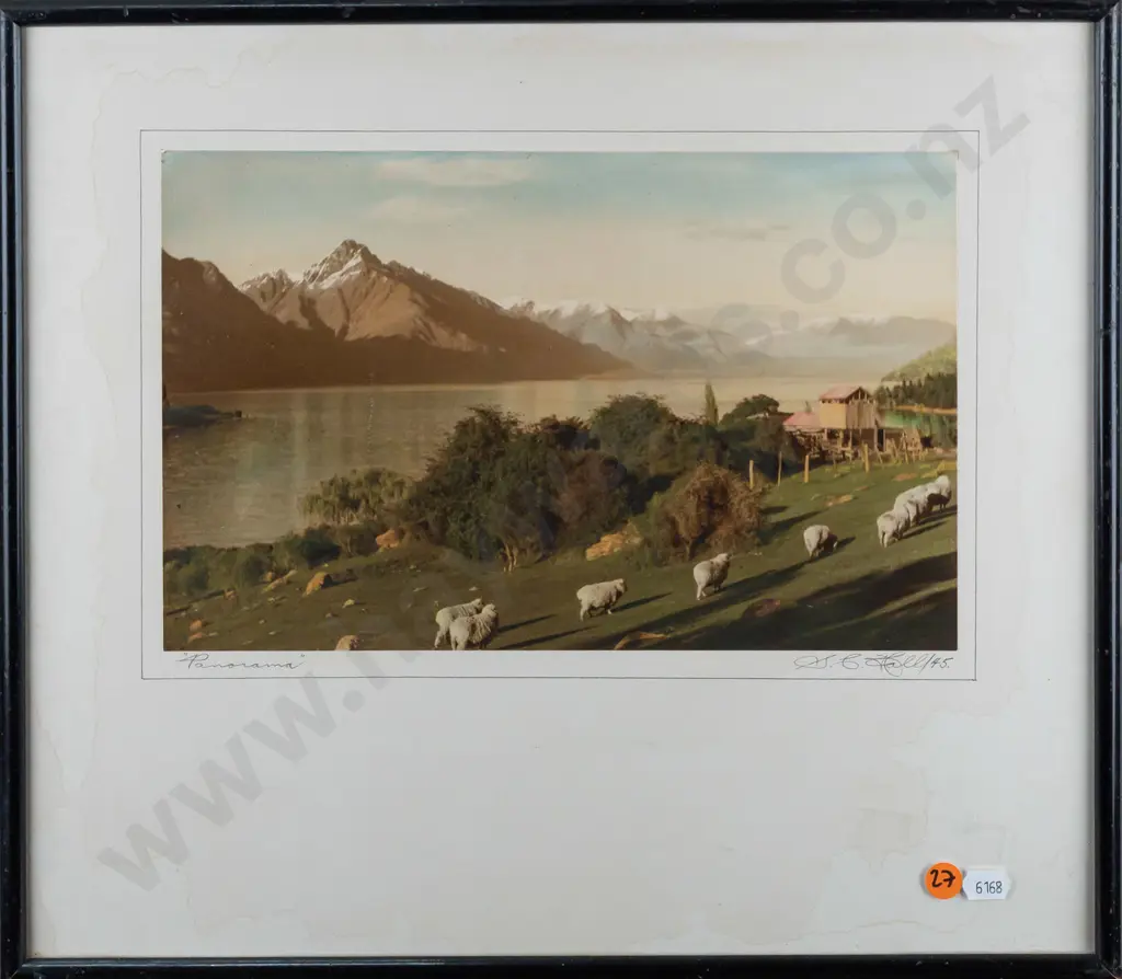 framed vintage hand coloured photograph "Panorama" - Lake Wakatipu H185 W300 (frame needs attention) Image 1++
