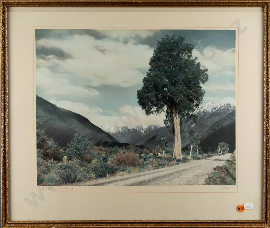 framed Whites Aviation hand coloured photograph "South Westland" H290 W370 Image 1++