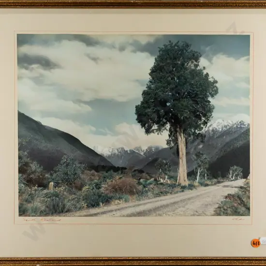 framed Whites Aviation hand coloured photograph "South Westland" H290 W370