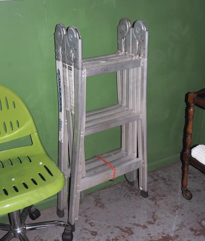 multi ladder Image 1++