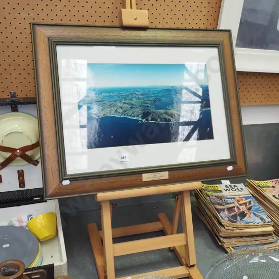 Otago Peninsula photograph on easel Total H800