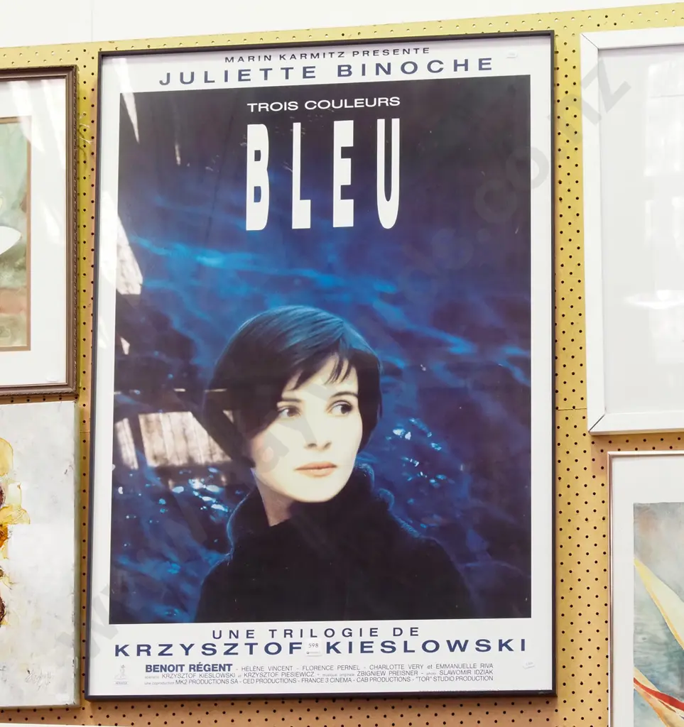 Krzysztof Kieslowski Bleu poster print Image 1++