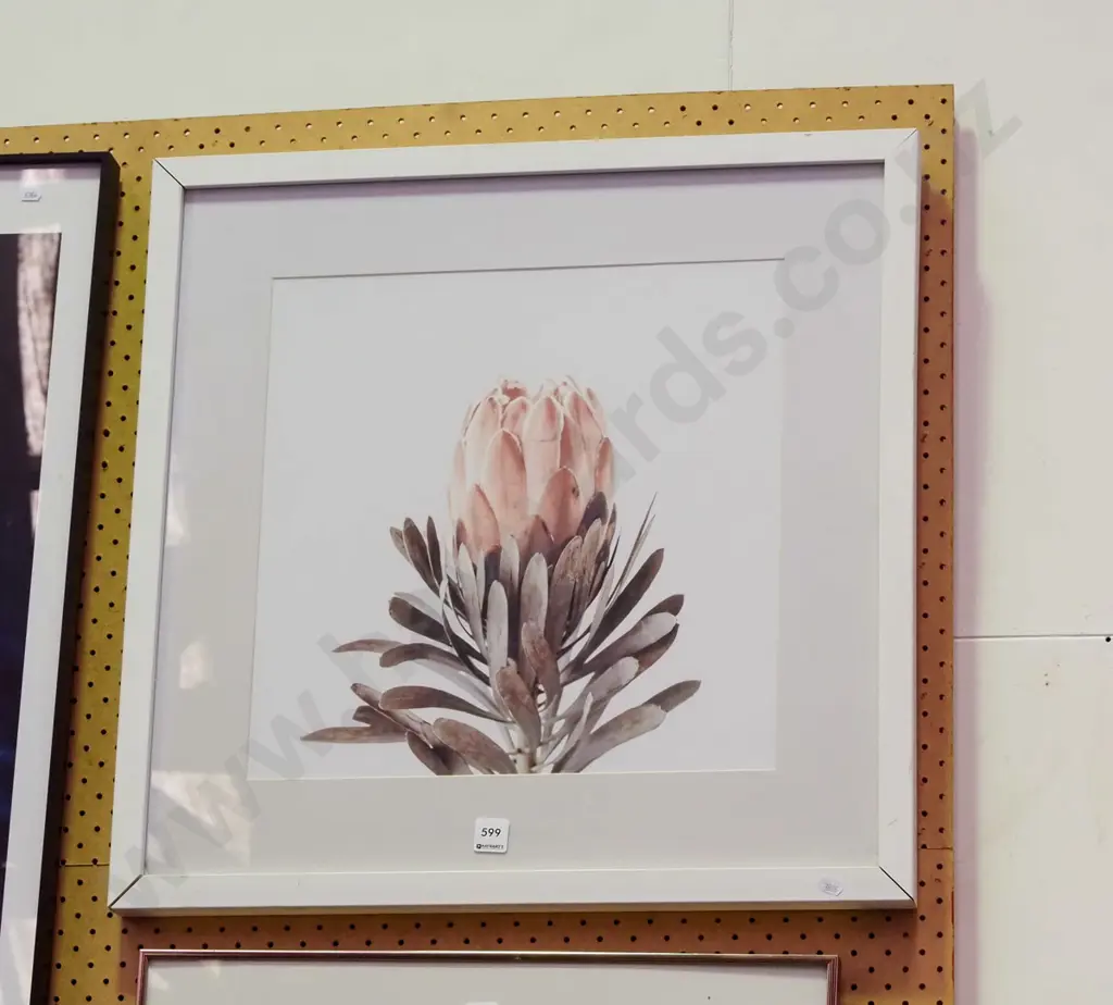 framed print - protea Image 1++
