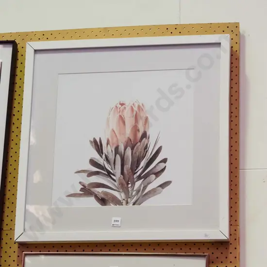 framed print - protea