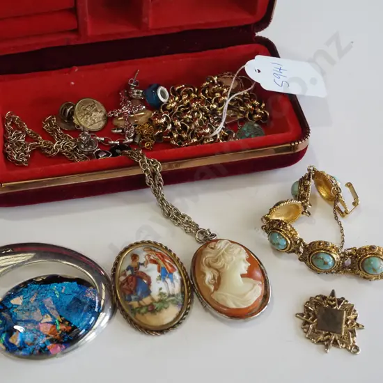 jewllery case; necklaces, bracelet, pendants etc (small cameo earring is broken, stamped 9ct)