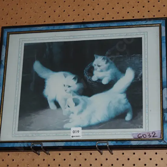 framed print - kittens