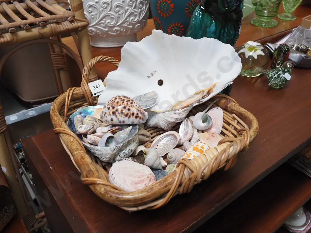 cane basket, seashells Image 1++