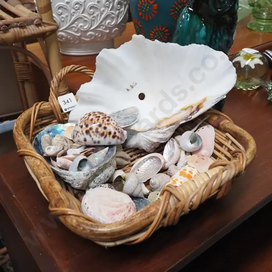 cane basket, seashells
