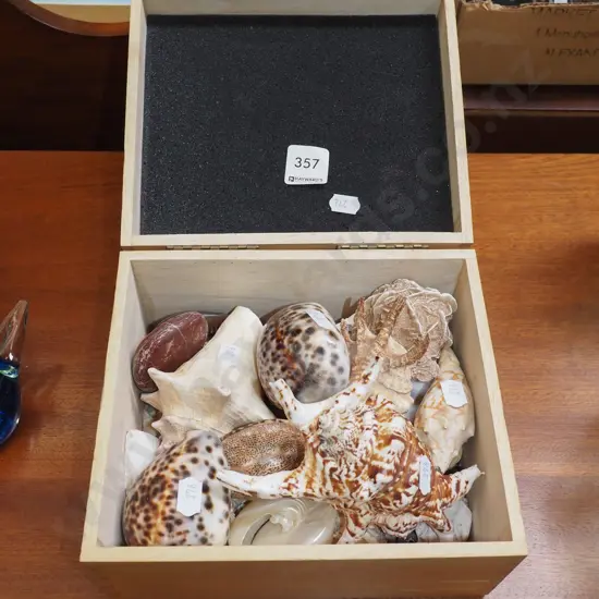 wooden box; seashells