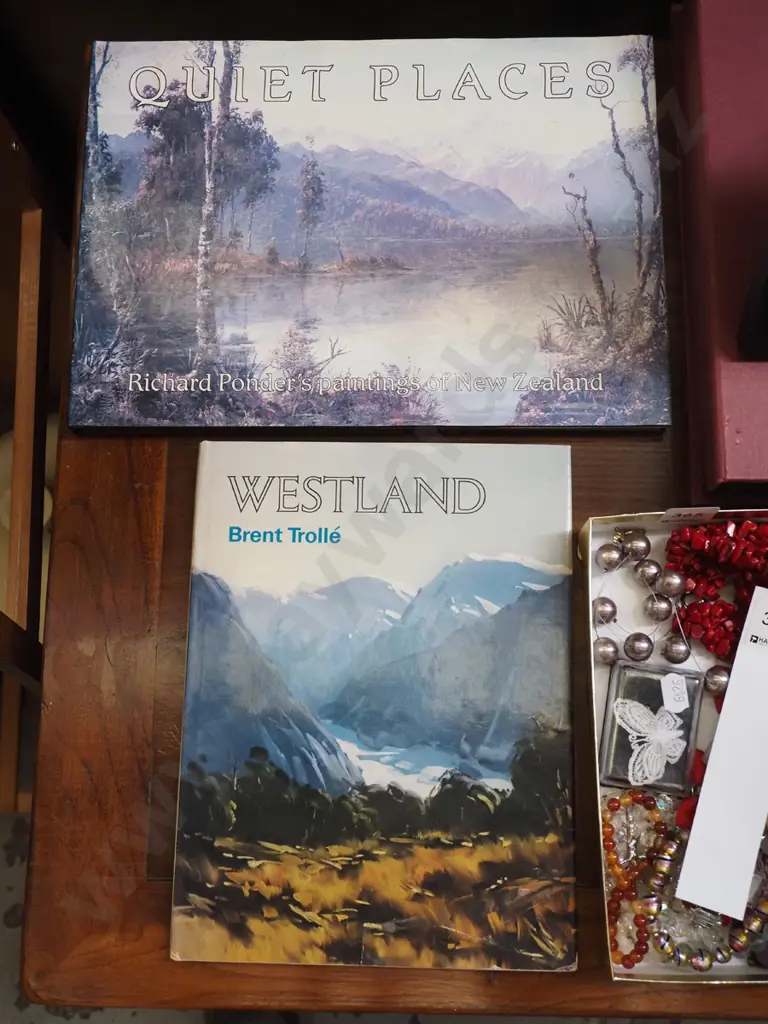 2x NZ landscape art books Image 1++
