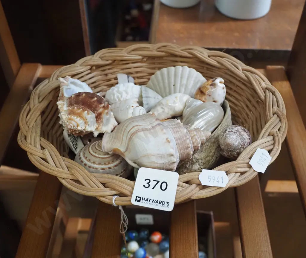 cane basket and seashells Image 1++