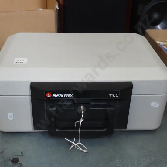 Sentry lockable suitcase safe