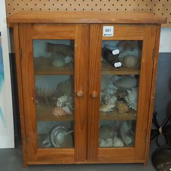 pine display case, various seashells etc H425 W375 D260