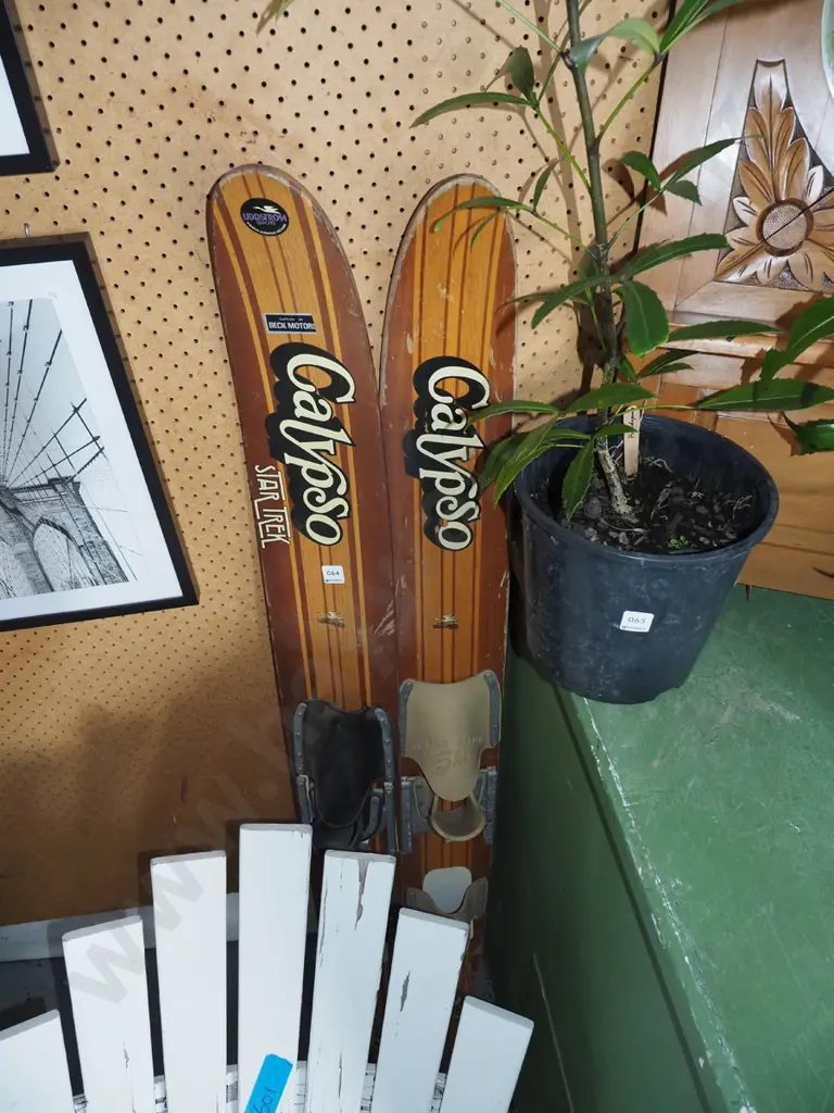 pair of Calypso retro water skis Image 1++