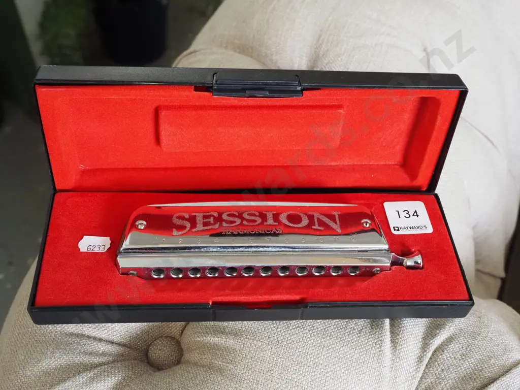 Sessions harmonica in case Image 1++