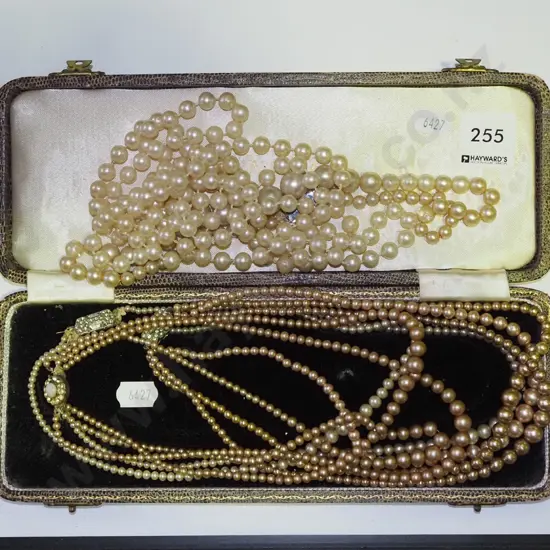 cased costume pearls