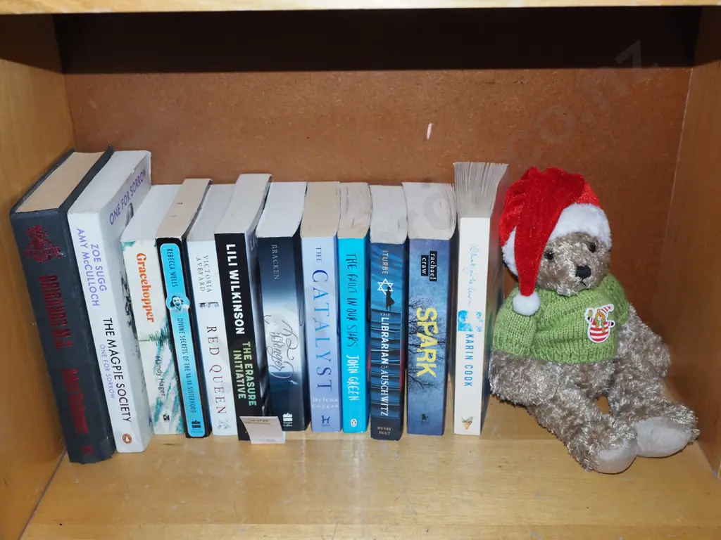 books, teddy bear Image 1++