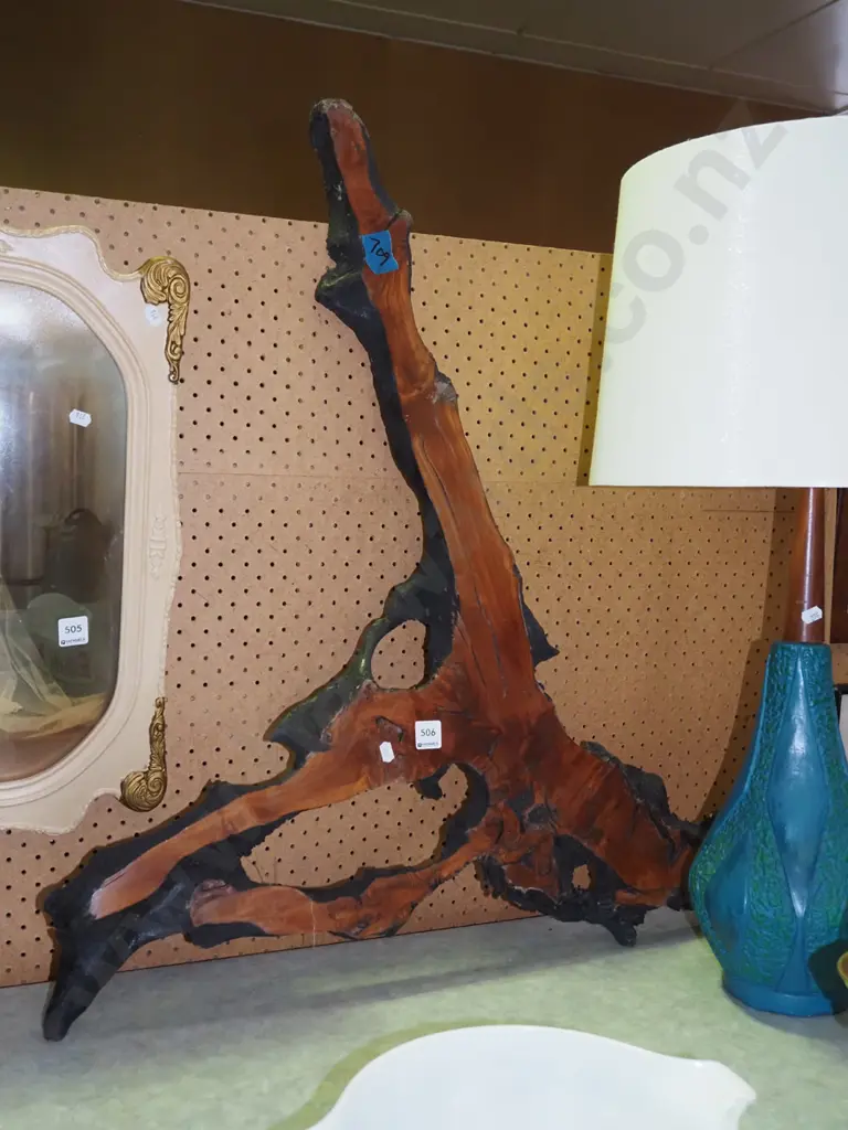 large piece of swamp kauri H830 Image 1++