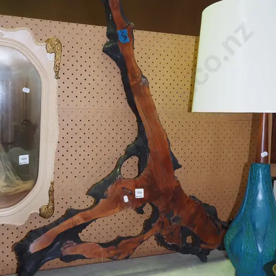 large piece of swamp kauri H830