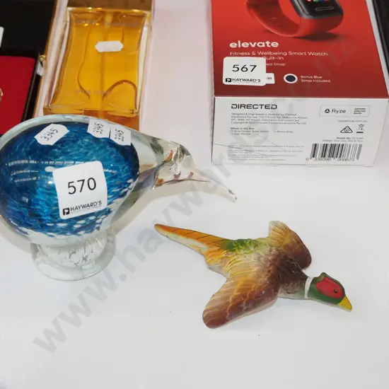 glass ornamental kiwi, wall mounted pheasant Kiwi H100