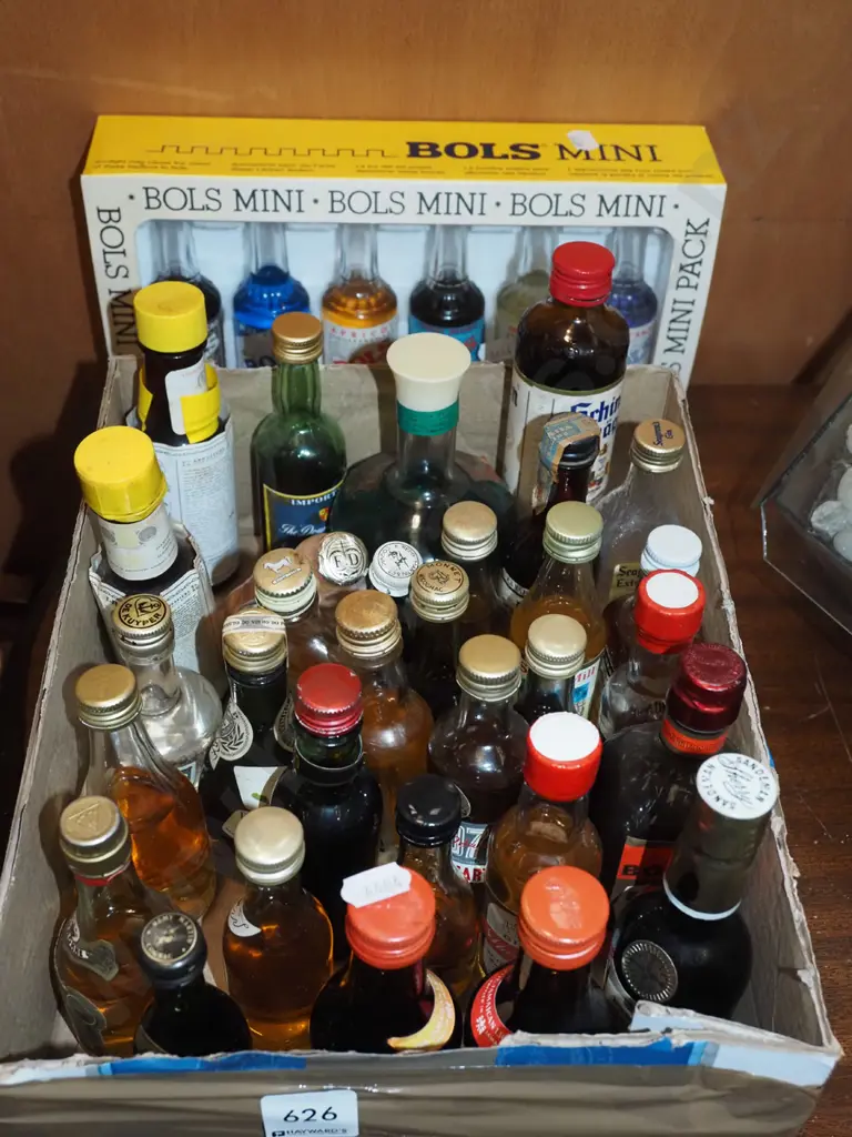 Bols miniature liqueur gift pack, box of spirit miniatures Image 1++