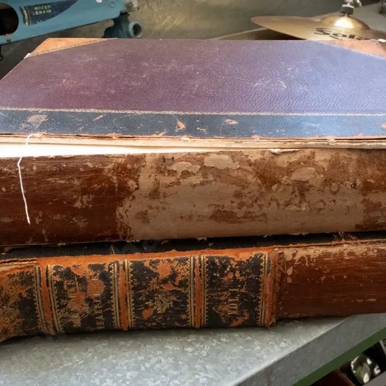2 large books - Works of Shakespeare - Imperial Edition. Wear, staining and some damage to binding